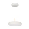 Светильник SP-ELEGANT-R300-17W Warm3000 (WH, 120 deg, 230V) (Arlight, IP20 Металл, 3 года)