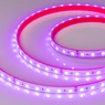 Лента светодиодная герметичная RTW-PS-B60-12mm 24V RGB (14.4 W/m, IP67, 5060, 50m) (Arlight, 14.4 Вт/м, IP67)