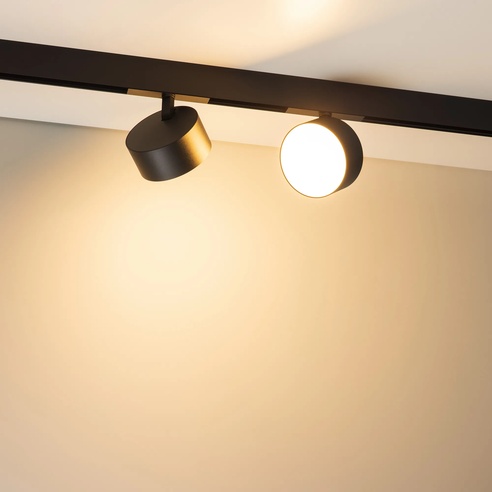 Светильник MAG-ORIENT-RONDO-R120-15W Warm3000 (BK, 110 deg, 48V) (Arlight, IP20 Металл, 5 лет)