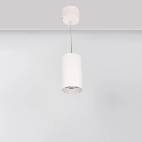 Светильник SP-POLO-HANG-R85-15W White5000 (WH-WH, 40 deg) (Arlight, IP20 Металл, 3 года)
