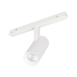 Светильник MAG-ORIENT-SPOT-R45-12W Day4000 (WH, 24 deg, 48V, DALI) (Arlight, IP20 Металл, 5 лет)