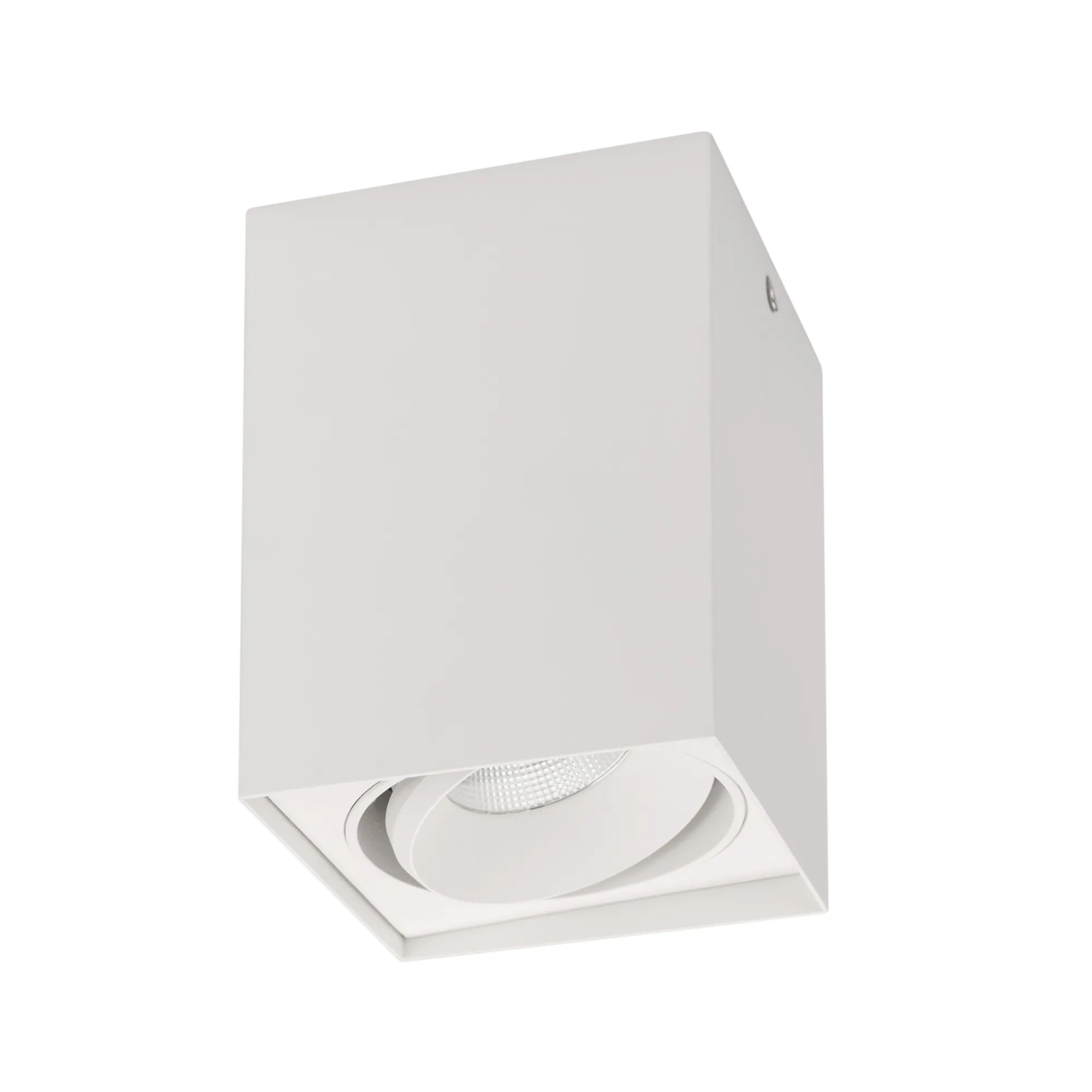 Светильник SP-CUBUS-S100x100-11W Day4000 (WH, 40 deg, 230V) (Arlight, IP20 Металл, 3 года) - изображение товара
