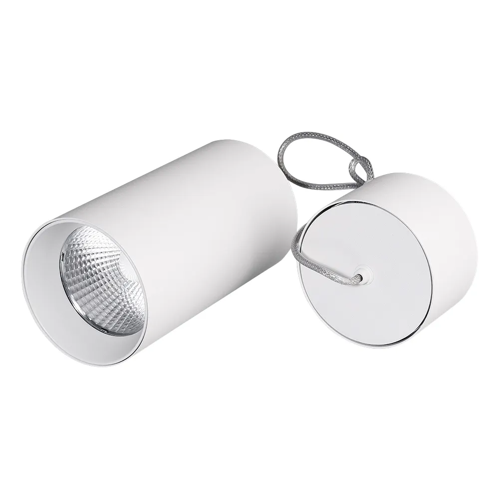 Светильник SP-POLO-HANG-R85-15W White5000 (WH-WH, 40 deg) (Arlight, IP20 Металл, 3 года) - изображение товара